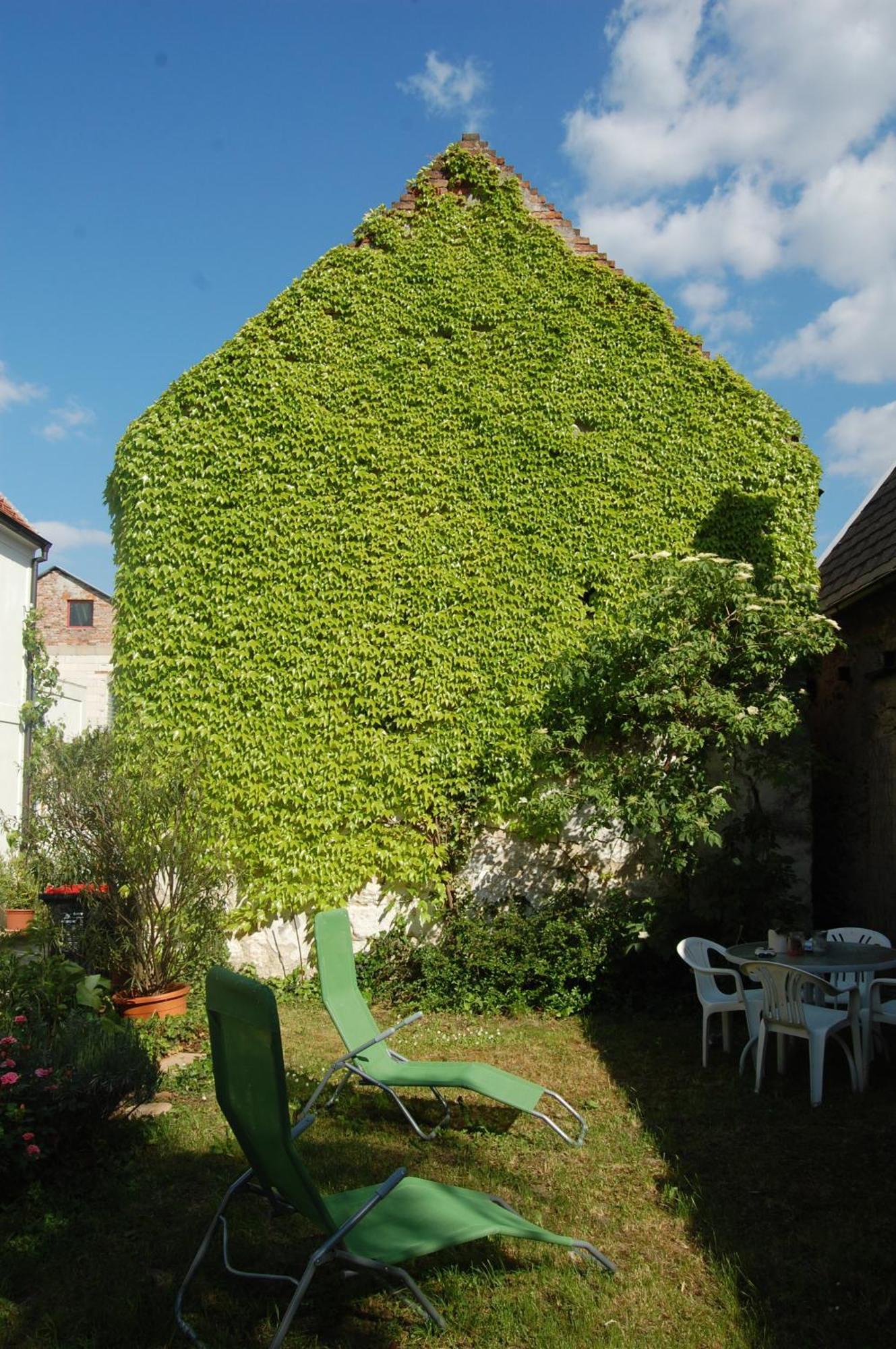 Hofgassl Zentgraf Bed & Breakfast Moerbisch Am See Exterior photo