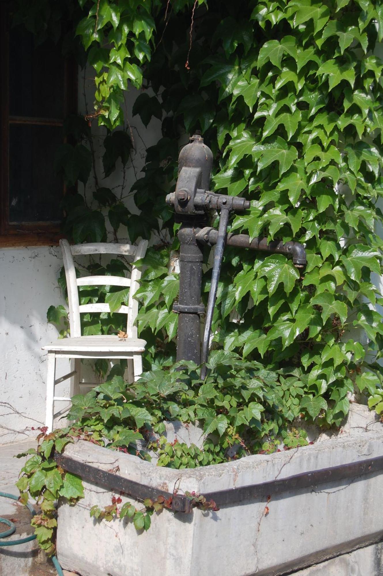 Hofgassl Zentgraf Bed & Breakfast Moerbisch Am See Exterior photo